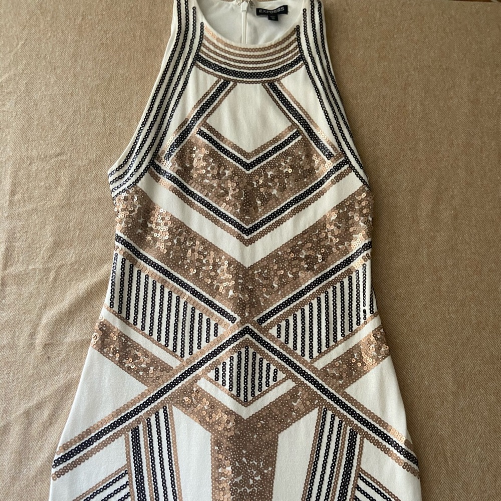 Express Dress - Picture 2 of 5